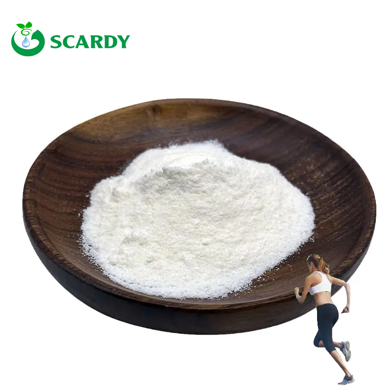 Creatine Monohydrate Powder